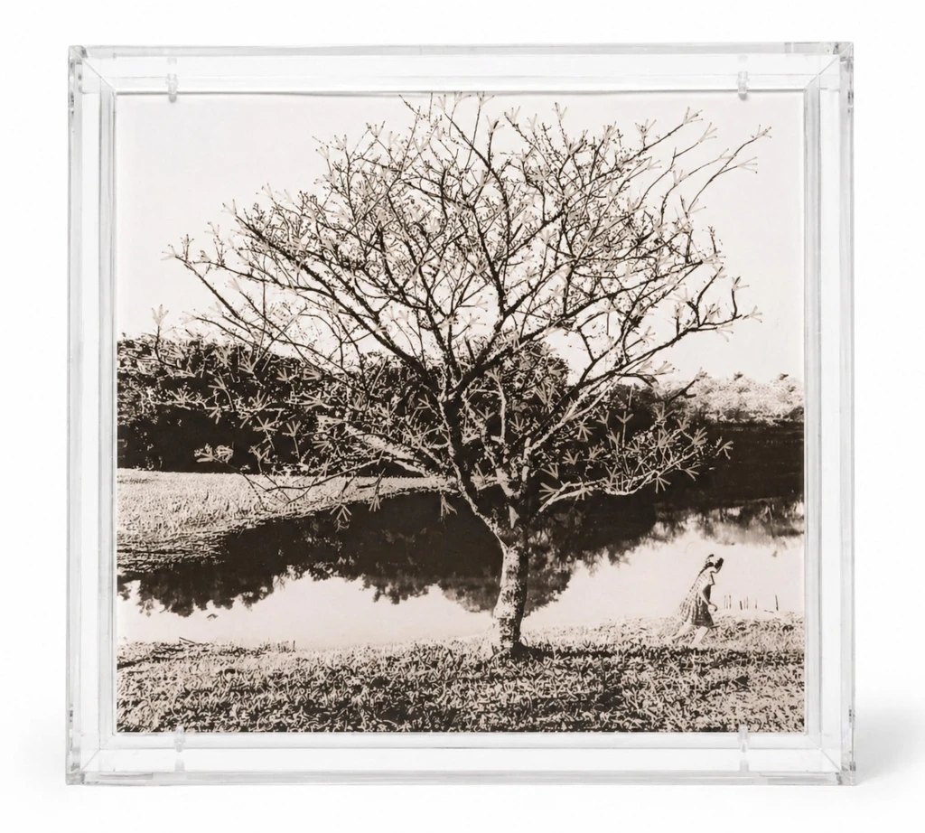 Fotografia com bordado #1