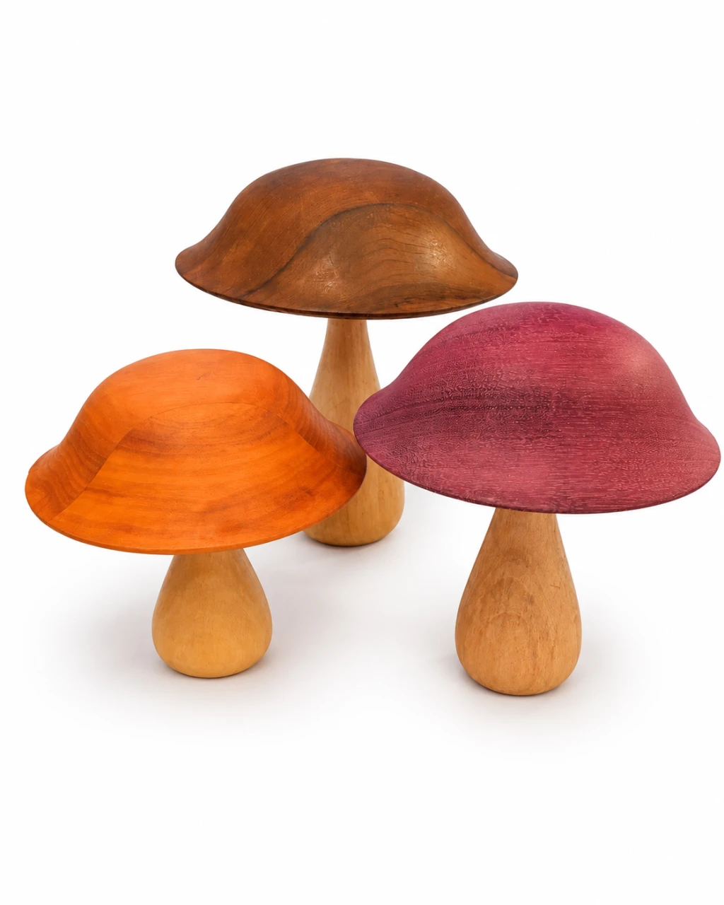 Trio de Cogumelos Fantásticos